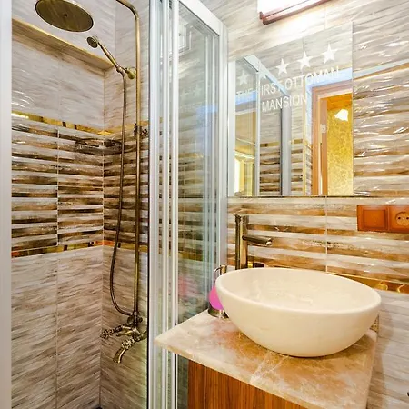 Chestnut Mansion Oldcity فندق