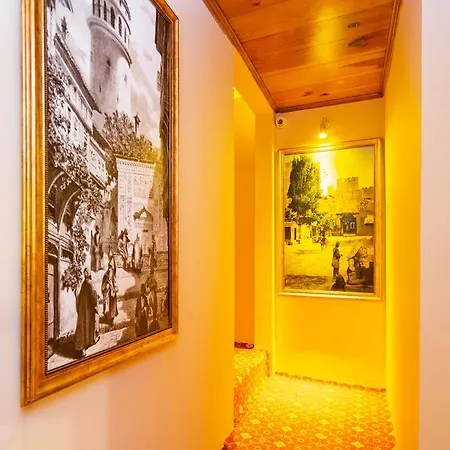 Chestnut Mansion Oldcity 2* اسطنبول