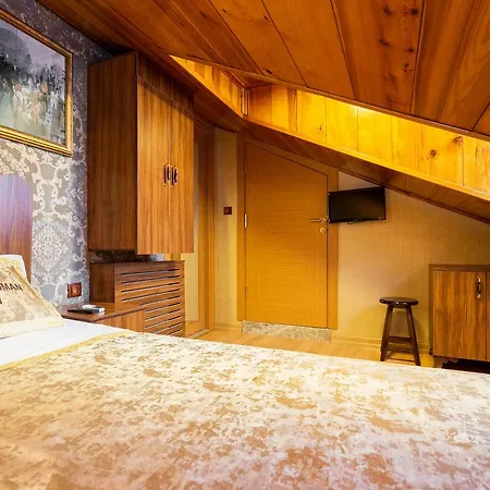 Chestnut Mansion Oldcity فندق